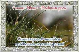 До конца года остается 207 дней. Novosti Slavyanska Narodnyj Prazdnik Ivan Medvyanye Rosy Otmechaetsya 7 Iyunya