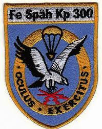 Patch Fallschirmjager Fernspah Kompanie 300 Neue Ausfuhrung Bundeswehr Fallschirmjager Abzeichen