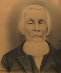 Daniel Snider (1808-1890)