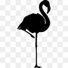 Pngtree menawarkan lebih dari burung png dan gambar vektor, serta latar belakang transparan burung gambar clipart dan file psd. Burung Png Unduh Gratis Philadelphia Eagles Logo Eagle Gambar Png