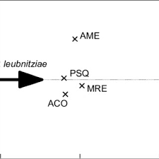 Image result for Pechuel-Loeschea leubnitziae