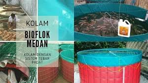 Jasa Pemasangan Kolam Terpal Biofloc Biomaksi Medan Sumatera Utara Home Facebook