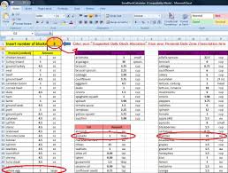 Paleo Zone Excel Calculator Best Discovery Ever Paleo Zone Diet Plan Menu Zone Diet
