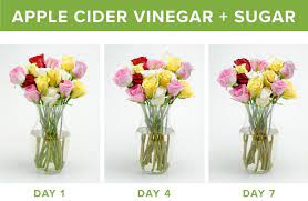 Each time you change the water, cut one inch off the stem. How To Make Flowers Last Longer 9 Tricks Proflowers