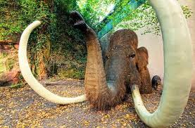 Hier finden sie das aktuelle kinoprogramm kaiserslautern. Quermania Kaiserslautern Gartenschau Mit Dinosaurier Rheinland Pfalz Urlaub Ausflugsziele Und Sehenswurdigkeiten
