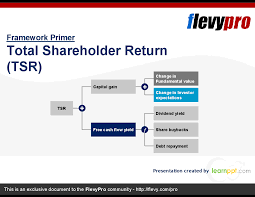 Total Shareholder Return Tsr Httpsflevycombrowseflevyprodoc-2913 The Most Comprehensive Measure Of Value Creat Cost Of Capital Debt Repayment Dividend