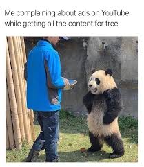 Relationship Adjourn Panda Funny Funny Memes Funny Animal Memes