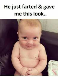 These are super funny pictures that are sure to get you laughing! Pin On It S A Jungle