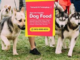 Do winter alaskan malamute kaos oblong size xxxlrp221212. Pin Di Wa 0852 8000 8050 Jual Beli Makanan Anjing