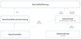 Die verfassung der aktiengesellschaft, aufgabenverteilung und zusammenspiel der organe sind im deutschen aktiengesetz (aktg) geregelt. Gmbh Definition Und Infos Zu Haftung Und Organen Ionos