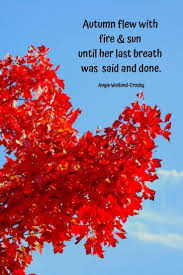 50 Autumn Quotes Fall Quotes And Captions To Enchant And Deepen The Soul Updated For 2020 Autumn Quotes Autumn Quotes Inspirational Leaf Quotes