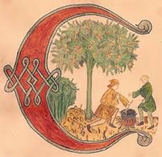Dans l'idée de retrouver des formes géométriques pour créer des lettres, je me suis inspirée d'un livre fancy alphabets et de lettrines trouvées sur la base de données enluminures. Lettrine C Lettrine Enluminure Moyen Age Letrine