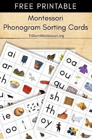 Trillium montessori shares brilliant montessori printables for free with her subscribers. 590 Montessori Free Printables Downloads Ideas In 2021 Montessori Montessori Printables Montessori Activities