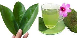 We did not find results for: 7 Manfaat Daun Sirsak Untuk Kesehatan Tubuh Parents