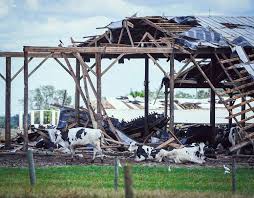 Journalist Shares Account of Reporting