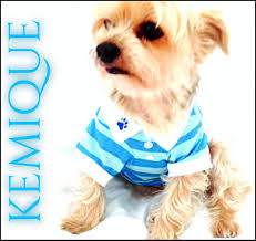 002 Pati Polo Yaka Tshirt Mavi Beyaz Cizgili Dog Dogfashion Petfashion Www Kemique Com Kopek Polo Elbise