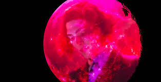 Why Sophie's Death Feels Different | by Rori Porter | Medium