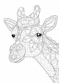 Mandala bloemen mandala dieren keltische mandala geo mandalas kerst mandala kinder mandalas. Giraffe Kleurplaat 40 Kleurplaten Van Giraffen Tijd Met Kinderen