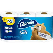 These binoculars are a fun craft for your little explorer. Charmin Ultra Soft Toilet Paper 6 Mega Rolls 264 Sheets Per Roll Shop The Marketplace