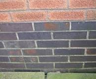 Image result