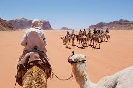 Camel Ranch Eilat - All You Need To Know Before You Go (2024)