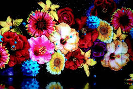 台中花博后里森林園區友達微美館 1 有556吋大螢幕顯微影像值得一看台中花 博已開始倒數計時 只到4 24 還沒去參觀過或有去過意猶未盡的朋友要把握時間