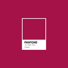 Cerise Pantone Luxurydotcom Pantone Colour Palettes Pantone Pantone Palette