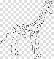 Ausmalbild Transparent Background Png Cliparts Free Download Hiclipart