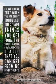 Dog Quote I Have Found That When You Are Deeply Troubled Dog Dog Quotes Inspirational Quotes F Dog Quotes Funny Dog Quotes Dog Quotes Inspirational