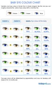 how eye colour is determined pregnancy kidspot