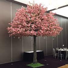 Welcome to bonsai shop australia. 5m Pink Cherry Blossom Trees Harbourside Decorators
