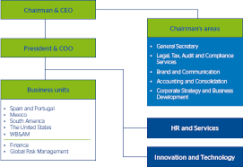 bbva a global leader bbva financial report 2010