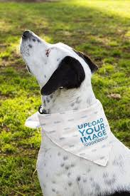 Click To Use This Template Bandana Mockup Featuring A Dog Outside 33286inspiration Ideas Examples Mockup Mockupdesign In 2020 Dog Bandana Dog Collar Bandana Bandana