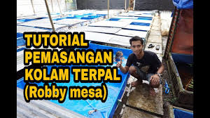 Tutorial Pemasangan Kolam Terpal Untuk Ikan Cupang Youtube