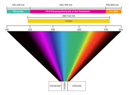 You've probably read that clones want blue light, but. A Guide To Grow Light Spectrum