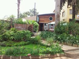Endiro Coffee In Kisimenti Kampala Uganda Uganda Kampala