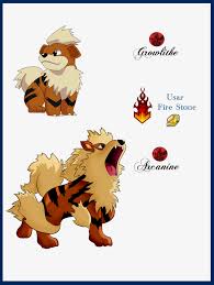 69 Bright Pokemon Arcanine Evolution Chart