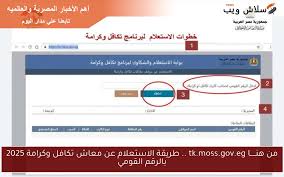 سلاش ويب - News update