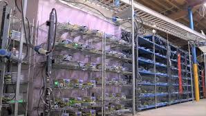 Warum wird diese seite angezeigt? Bitcoin Farm Trading