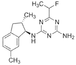 Image result for Dissotis longisepala