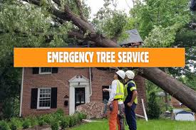 29,282 jobs available in overland park, ks on indeed.com. Kansas City Tree Service Tree Removal Kansas City Arbormax