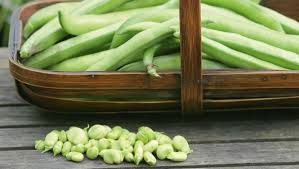 You can purchase broad bean pods or grow your own. Q A Six Common Broad Bean Questions Stuff Co Nz