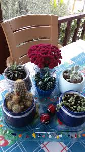 Tas Boyama Kaktusler Kaktus Taslar Duvar