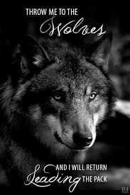 Hopefully the wolf quotes above will inspire you to develop epic teamwork skills. Pin Pa Quotes Music Lyrics