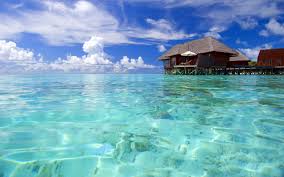 Ocean, sky, coast, 5k, palm, beach, seychelles, maldives, water. Maldives Beach Wallpapers Top Free Maldives Beach Backgrounds Wallpaperaccess