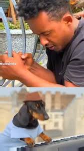 Ferchalew Manyazewl Eshetu