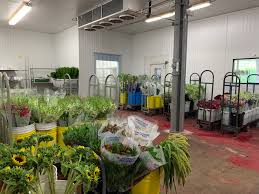 We also have a huge range of floral sundries and florist supplies. New Jersey Location Main Wholesale Florist