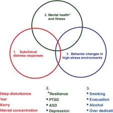 PDF) First Responders: Mental Health Consequences of Natural and Human-Made  Disasters for Public Health and Public Safety Workers *