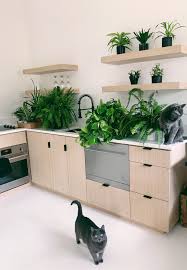 Minimalistic Kitchen Design Simple Kitchen Design Minimalist Kitchen Kitchen Design