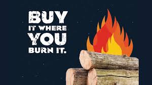 See the full pufpp terms and conditions (pdf, 421 kb). Oregon Department Of Forestry Firewood Working Forests State Of Oregon